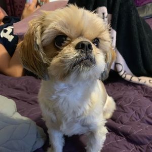 Meet your Posher, Sal